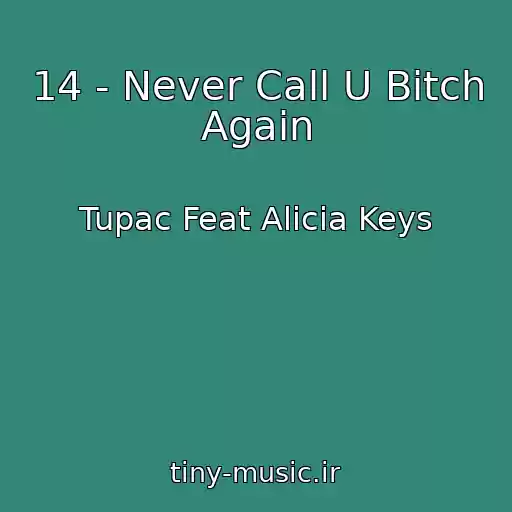 کاور آهنگ 14 - Never Call U Bitch Again از Tupac Feat Alicia Keys