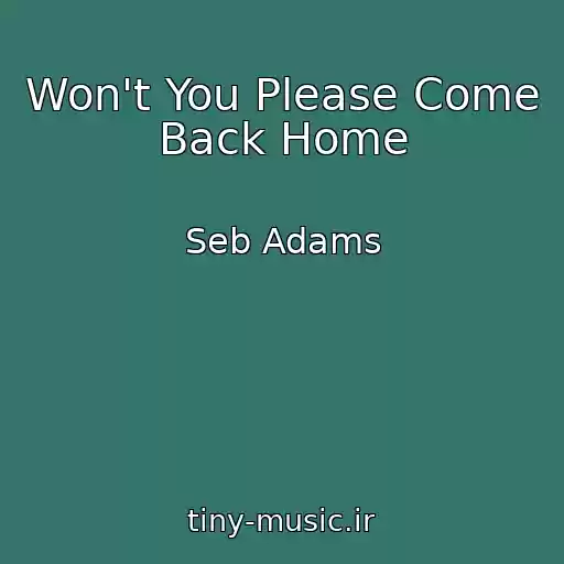 کاور آهنگ Won't You Please Come Back Home از Seb Adams