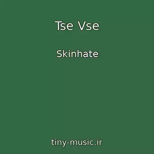 کاور آهنگ Tse Vse از Skinhate