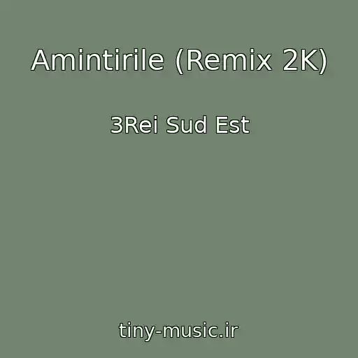 کاور آهنگ Amintirile (Remix 2K) از 3Rei Sud Est
