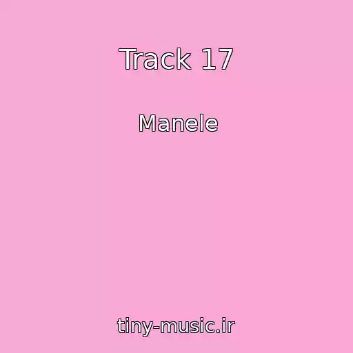 کاور آهنگ Track 17 از Manele