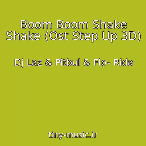 کاور آهنگ Boom Boom Shake Shake (Ost Step Up 3D) از Dj Laz & Pitbul & Flo- Rida