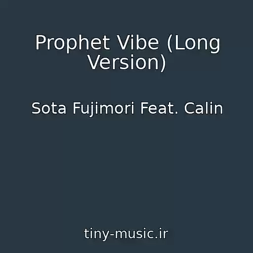 کاور آهنگ Prophet Vibe (Long Version) از Sota Fujimori Feat. Calin