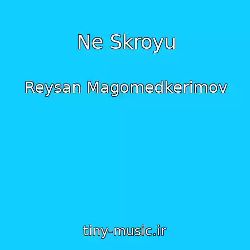 کاور آهنگ Ne Skroyu از Reysan Magomedkerimov