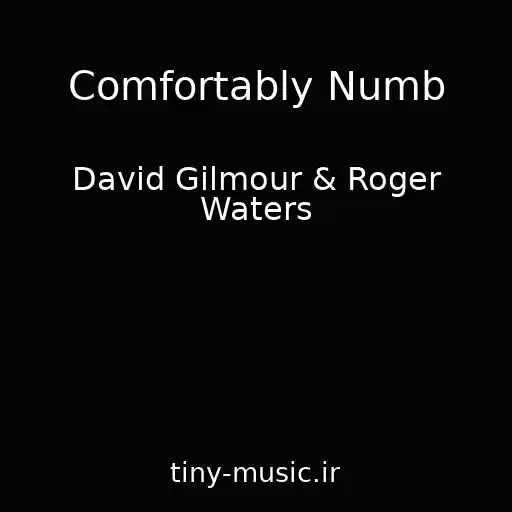 کاور آهنگ Comfortably Numb از David Gilmour & Roger Waters