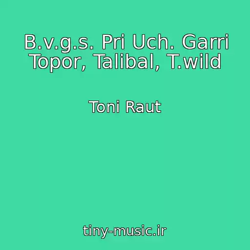 کاور آهنگ B.v.g.s. Pri Uch. Garri Topor, Talibal, T.wild از Toni Raut