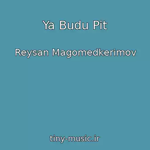 کاور آهنگ Ya Budu Pit از Reysan Magomedkerimov