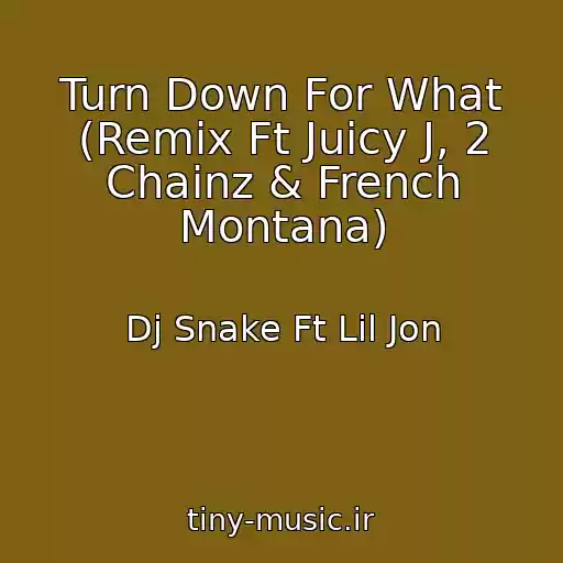 کاور آهنگ Turn Down For What (Remix Ft Juicy J, 2 Chainz & French Montana) از Dj Snake Ft Lil Jon