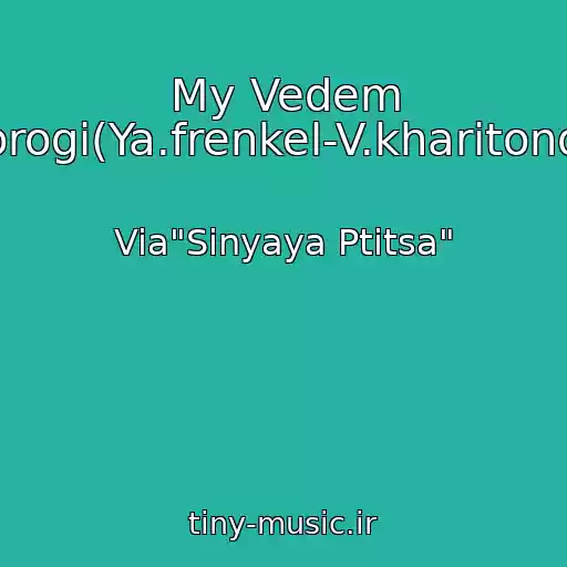 کاور آهنگ My Vedem Dorogi(Ya.frenkel-V.kharitonov) از Via"Sinyaya Ptitsa"