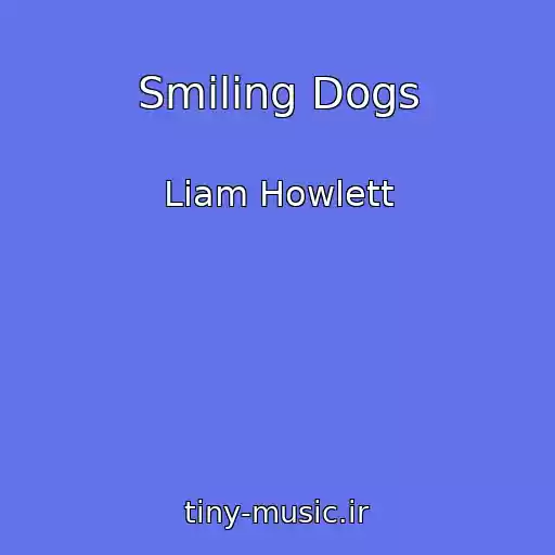 کاور آهنگ Smiling Dogs از Liam Howlett