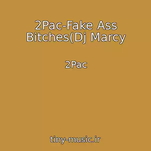 کاور آهنگ 2Pac-Fake Ass Bitches(Dj Marcy از 2Pac