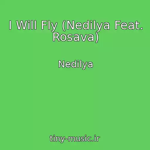 کاور آهنگ I Will Fly (Nedіlya Feat. Rosava) از Nedіlya