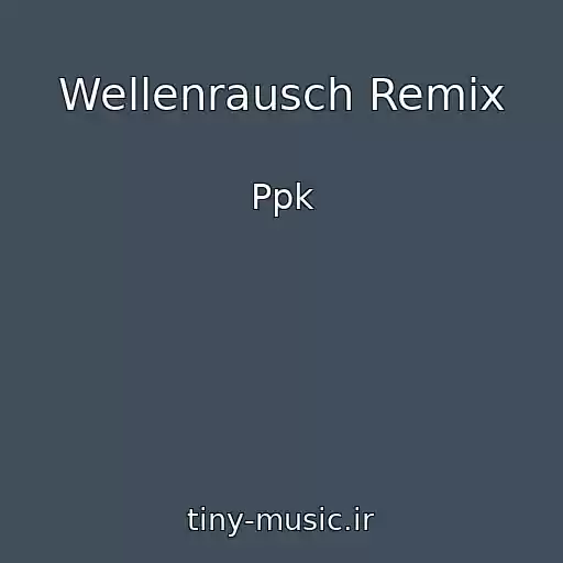 کاور آهنگ Wellenrausch Remix از Ppk