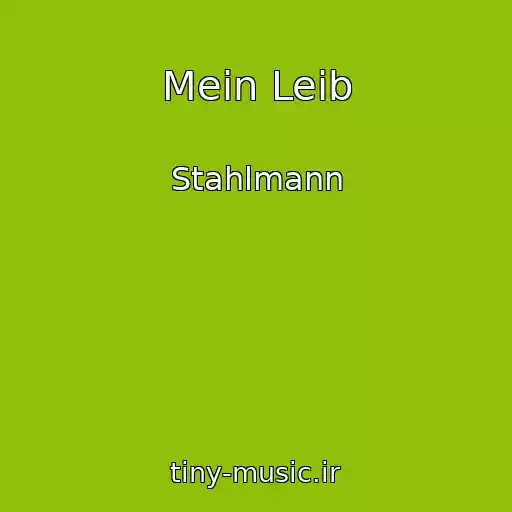کاور آهنگ Mein Leib از Stahlmann