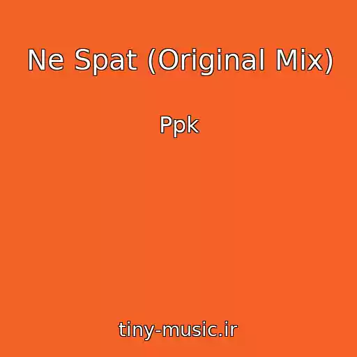 کاور آهنگ Ne Spat (Original Mix) از Ppk