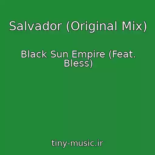 کاور آهنگ Salvador (Original Mix) از Black Sun Empire (Feat. Bless)