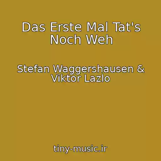 کاور آهنگ Das Erste Mal Tat's Noch Weh از Stefan Waggershausen & Viktor Lazlo