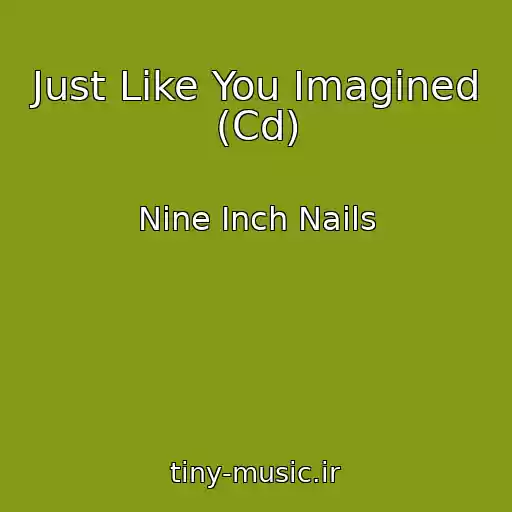 کاور آهنگ Just Like You Imagined (Cd) از Nine Inch Nails
