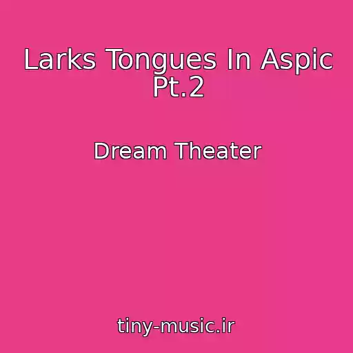 کاور آهنگ Larks Tongues In Aspic Pt.2 از Dream Theater