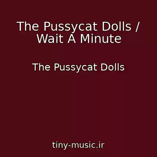 کاور آهنگ The Pussycat Dolls / Wait A Minute از The Pussycat Dolls