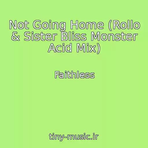 کاور آهنگ Not Going Home (Rollo & Sister Bliss Monster Acid Mix) از Faithless