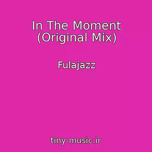 کاور آهنگ In The Moment (Original Mix) از Fulajazz