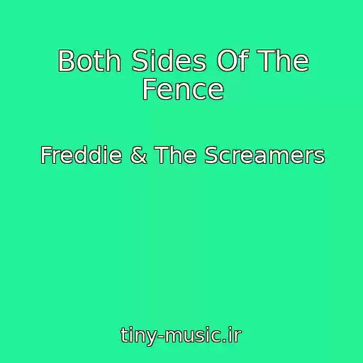 کاور آهنگ Both Sides Of The Fence از Freddie & The Screamers