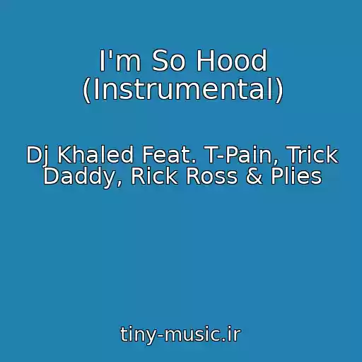 کاور آهنگ I'm So Hood (Instrumental) از Dj Khaled Feat. T-Pain, Trick Daddy, Rick Ross & Plies