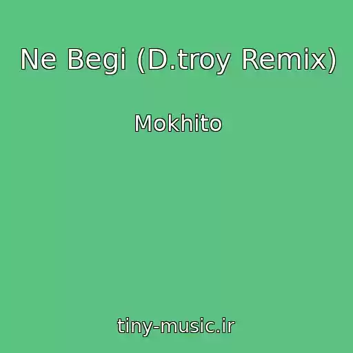 کاور آهنگ Ne Begi (D.troy Remix) از Mokhito