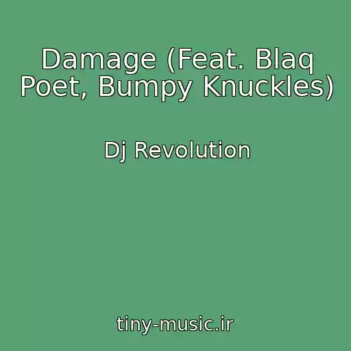 کاور آهنگ Damage (Feat. Blaq Poet, Bumpy Knuckles) از Dj Revolution