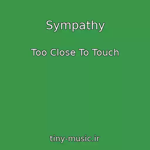 کاور آهنگ Sympathy از Too Close To Touch