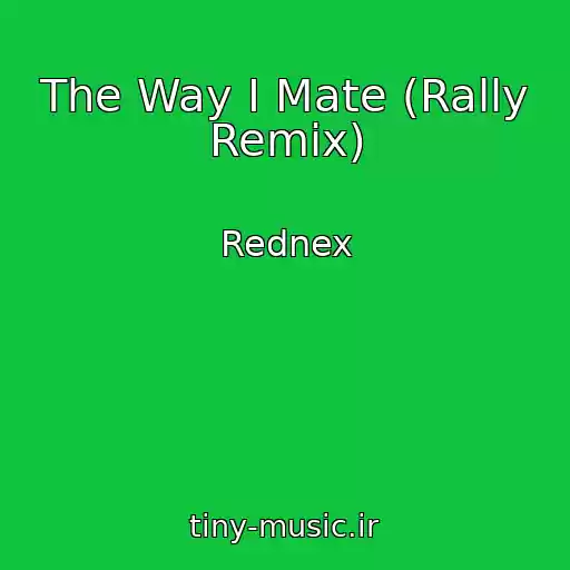 کاور آهنگ The Way I Mate (Rally Remix) از Rednex