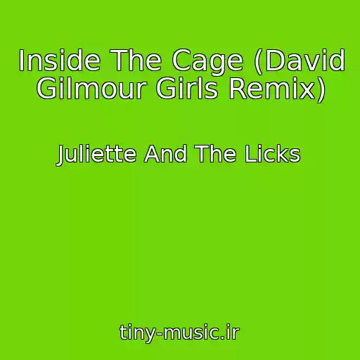 کاور آهنگ Inside The Cage (David Gilmour Girls Remix) از Juliette And The Licks