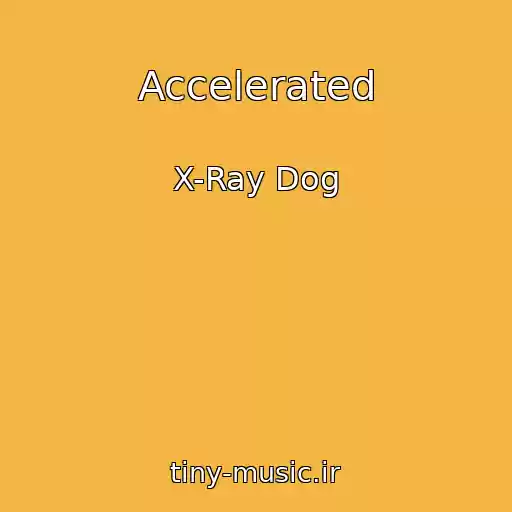 کاور آهنگ Accelerated از X-Ray Dog
