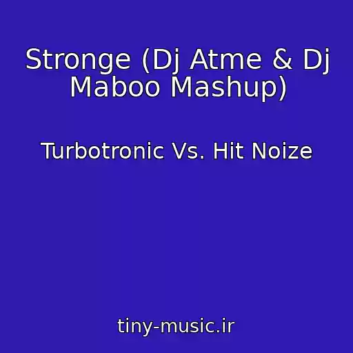 کاور آهنگ Stronge (Dj Atme & Dj Maboo Mashup) از Turbotronic Vs. Hit Noize