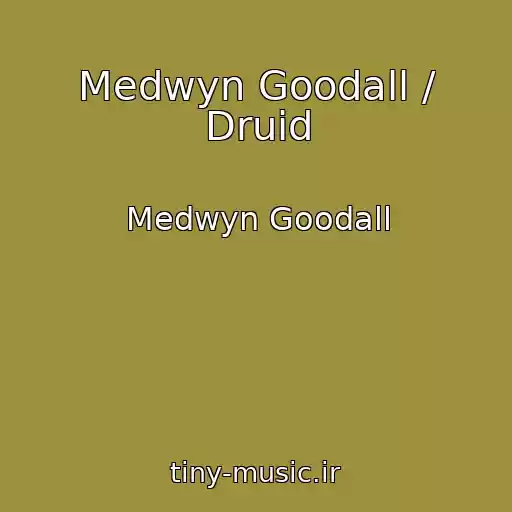کاور آهنگ Medwyn Goodall / Druid از Medwyn Goodall