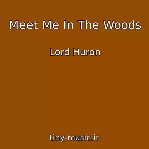کاور آهنگ Meet Me In The Woods از Lord Huron