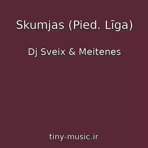 کاور آهنگ Skumjas (Pied. Līga) از Dj Sveix & Meitenes