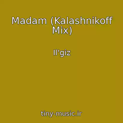 کاور آهنگ Madam (Kalashnikoff Mix) از Il'giz