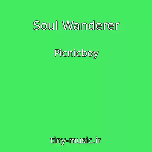 کاور آهنگ Soul Wanderer از Picnicboy