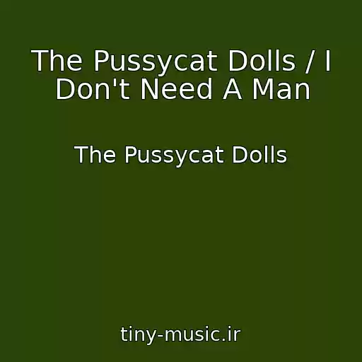 کاور آهنگ The Pussycat Dolls / I Don't Need A Man از The Pussycat Dolls