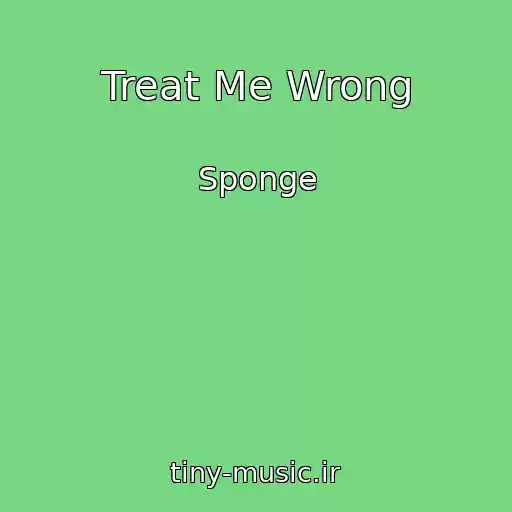کاور آهنگ Treat Me Wrong از Sponge