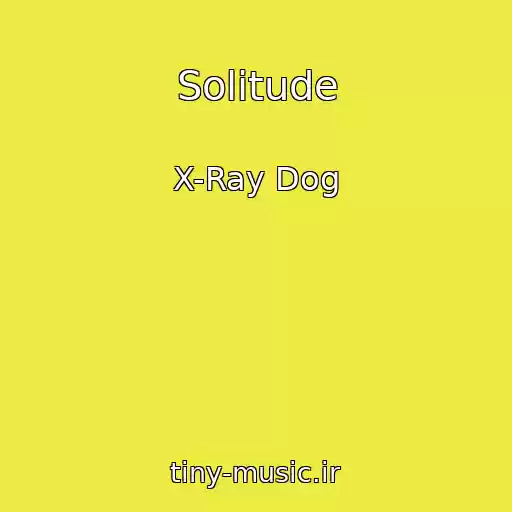 کاور آهنگ Solitude از X-Ray Dog