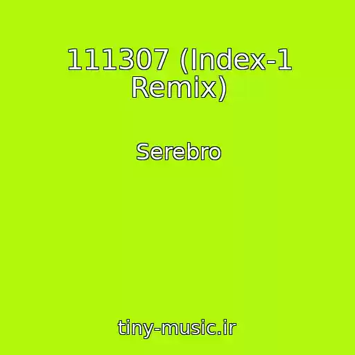 کاور آهنگ 111307 (Index-1 Remix) از Serebro