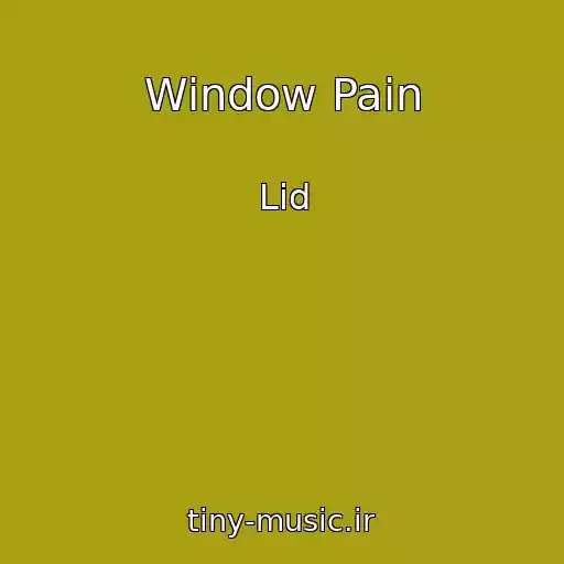کاور آهنگ Window Pain از Lid