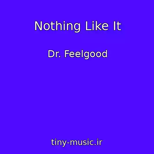 کاور آهنگ Nothing Like It از Dr. Feelgood