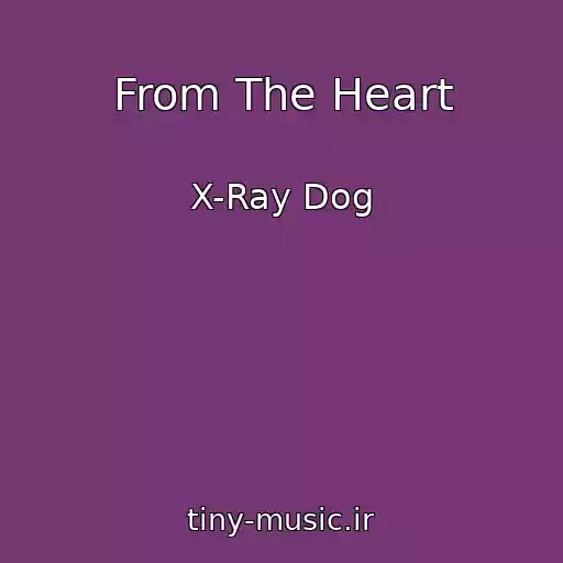 کاور آهنگ From The Heart از X-Ray Dog