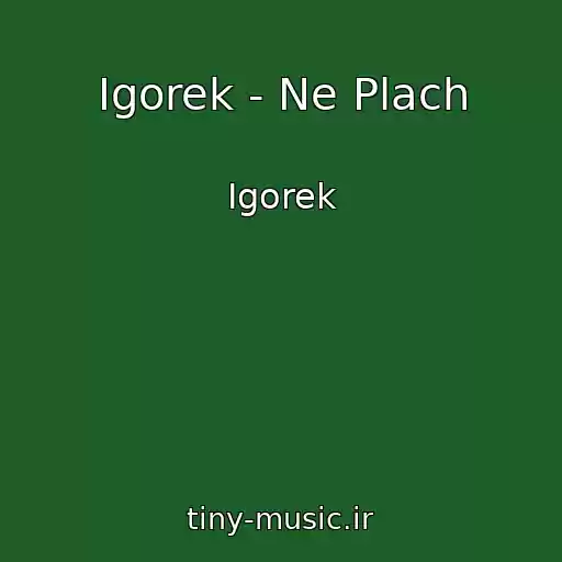 کاور آهنگ Igorek - Ne Plach از Igorek