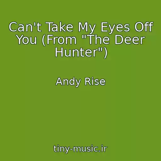 کاور آهنگ Can't Take My Eyes Off You (From "The Deer Hunter") از Andy Rise