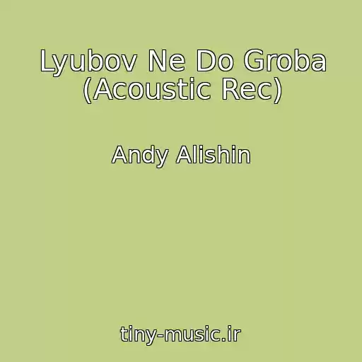کاور آهنگ Lyubov Ne Do Groba (Acoustic Rec) از Andy Alishin